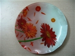 Đĩa thủy tinh chịu lực 02