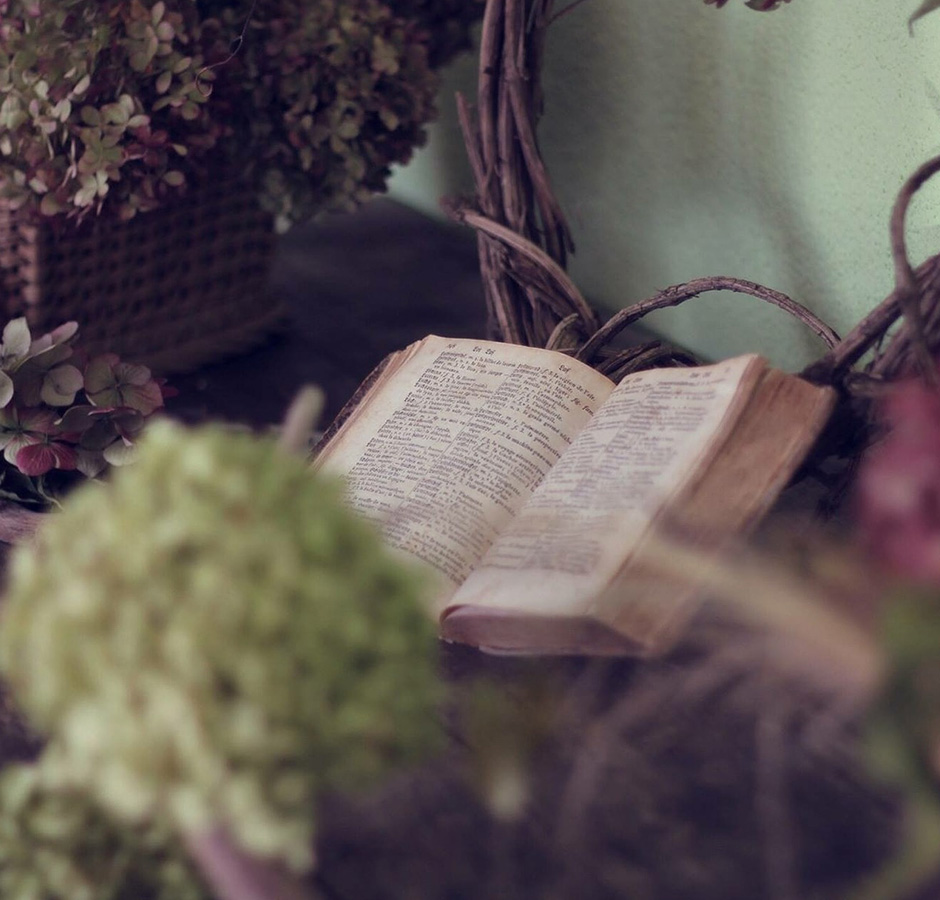 blog-1 blog-1